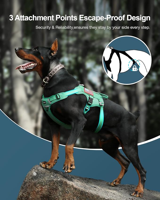 FAYOGOO Tactical Dog Harness for Medium Breed - Mesh Breathable Dog Harness Escape Proof with Handle - No Pull Military Service Dog Vest with Removable Patches for Walking,Training,Hiking