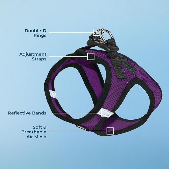 Best Pet Supplies Voyager Step-in Air Harness - All Weather Mesh, Reflective, No Pull Harness for Dogs, Cats - Secure with Hook & Loop Fastener, Buckle, Double D-Rings - Purple/Black Trim, M