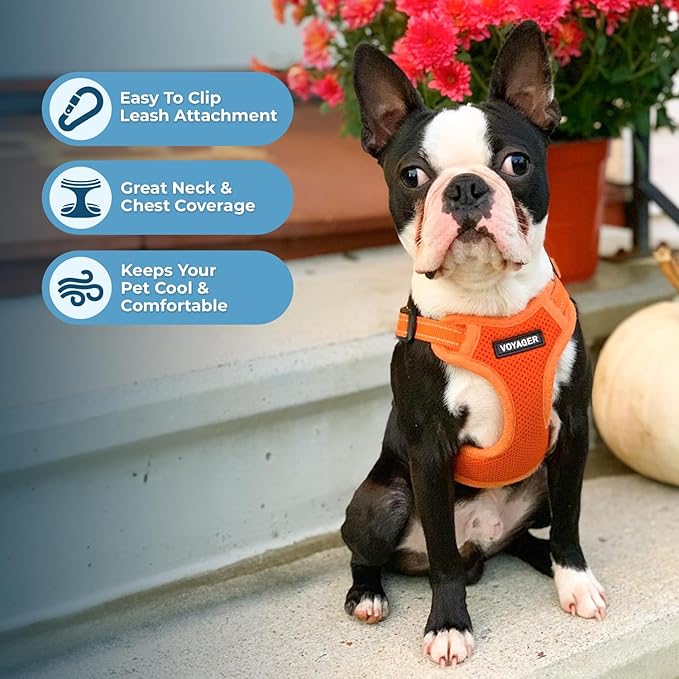 Best Pet Supplies Voyager Adjustable Step-in Flex Breathable Mesh Dog Harness for Small Medium Large Dogs Leash Set (Orange), XL