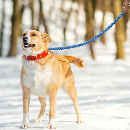 Mile High Life | Mountain Climbing Dog Rope Leash with Heavy Duty Metal Sturdy Clasp | Genuine Leather Tailored Connection with Strong Stitches (Sky Blue Hot Blue, 60 Inch (Pack of 1))
