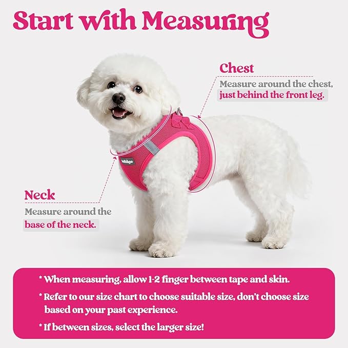 rabbitgoo Dog Harness Small Medium Sized and Leash Set, Step in Soft Light Puppy Vest, Breathable Mesh Pet Harness, Reflective for Safe Easy Walking, Rose Red L