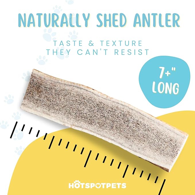 hotspot pets Premium Split Elk Antlers for Dogs - 7 Inch Large Dog Chews (2 Pack) Made in USA -Naturally Shed Antler Bone for Large Breed Chewers -Promotes Natural Dental Hygiene