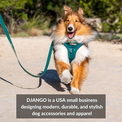 DJANGO Adventure Dog Leash – Strong, Comfortable, and Stylish Dog Leash with Solid Brass Hardware and Padded Handle - Designed for Outdoor Adventures and Everyday Use (Crimson Red)
