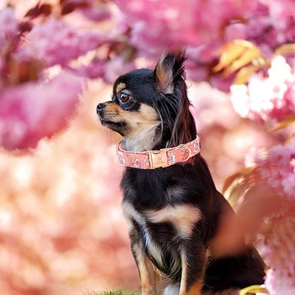 Lionheart glory Valentine's Day Collar, Pink Roses Print Dog Collar for Large Cute Dog Collars Spring Female Pet Gift Adjustable Heavy-Duty Dog Collar Holiday