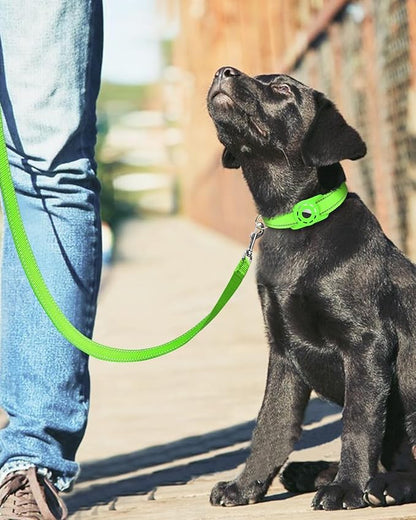 4FT Reflective Nylon Dog Leash with Soft Padded Handle for Walking, Running and Training, Supports Small Medium and Large Dogs (Green, 1 Inch Wide)