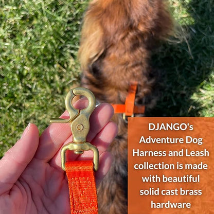 DJANGO Adventure Dog Leash – Strong, Comfortable, and Stylish Dog Leash with Solid Brass Hardware and Padded Handle - Designed for Outdoor Adventures and Everyday Use (Sunset Orange)