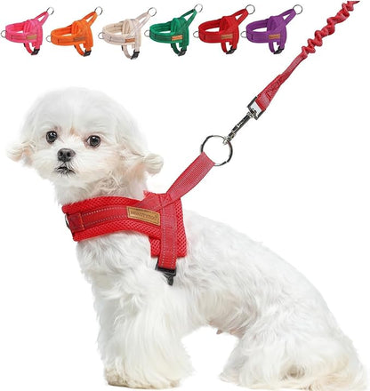 BEAUTYZOO Dog Harness for Small Dogs, No Pull Dog Harness and Leash Set, Soft Escape Proof Puppy Vest Harness with Handle, Reflective Lightweight Step in Harness for Girl Boy Dogs, Red S