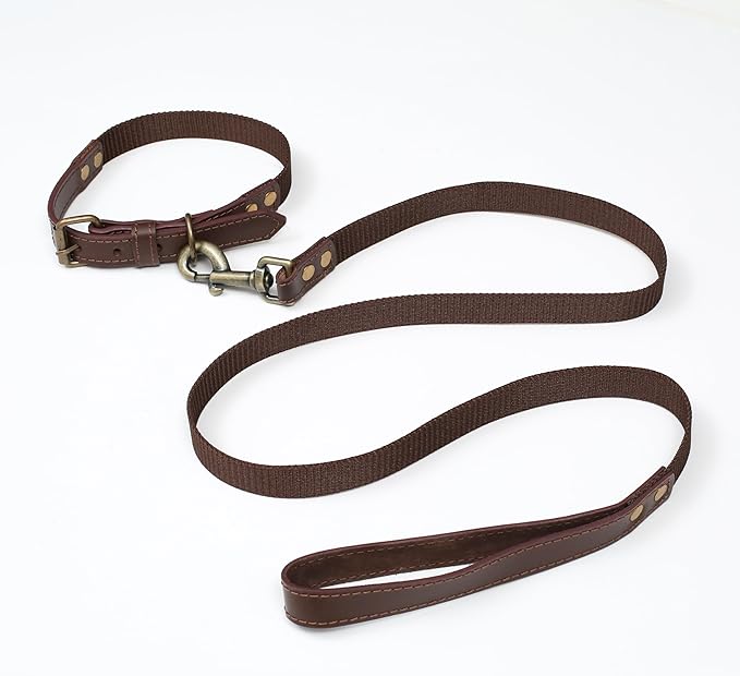 Lightnpro Heavy-Duty Dog Collar & Leash Set - 24" Adjustable Nylon Collar (Coffee Brown) with Secure Metal Buckle & Matching Leash - Durable Walking & Training Gear for Medium & Large Breeds