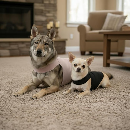 DAJIDALI® Dog & Cat Anxiety Vest & Female Spay Recovery Suit – Silent No-Velcro Calming Wrap – Universal Fit for All Breeds (Including Corgi & Frenchie)