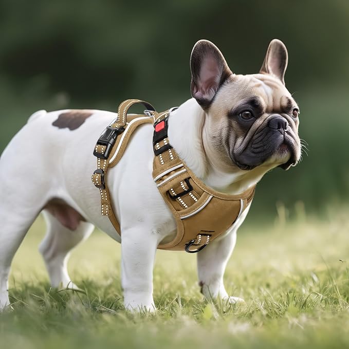 Timos Dog Harness Small Sized, No Pull Pet Harness with Neck Lockable Snap,No Choke Front Clip Dog Reflective Vest,Adjustable Metal Rings 3 Buckles,Easy Control Handle for Small Dogs Khaki S