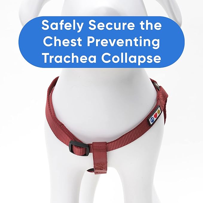 Pawtitas Solid Step-in Dog Harness – Adjustable No-Pull Vest for Puppies to Seniors, Safe & Comfortable S Marsala