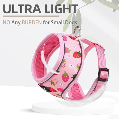 PUPTECK Soft Mesh Dog Harness and Leash Set Pet Puppy Cat Comfort Padded Vest No Pull Harnesses, Strawberry Pink, S