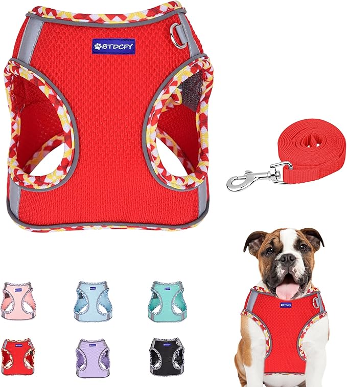 Step-in Mesh Dog Harness and Leash Set - Breathable, Reflective, Escape-Proof Vest - No Choke, Lightweight - Red