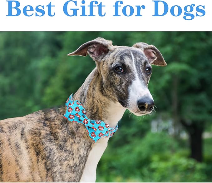 Unique style paws Valentine's Day Dog Collar with Bow Tie Blue Heart Puppy Collar Best Gift for Small Medium Large Boys Girls-M