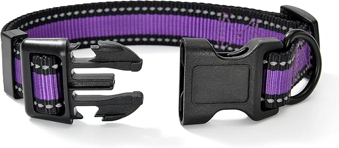 Mile High Life Dog Collar | Nylon Reflective Dog Collars | Light Weight Puppy Collars | Purple Dog Collars for Medium Dogs (Purple, Medium)