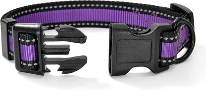 Mile High Life Dog Collar | Nylon Reflective Dog Collars | Light Weight Puppy Collars | Purple Dog Collars for Medium Dogs (Purple, Medium)