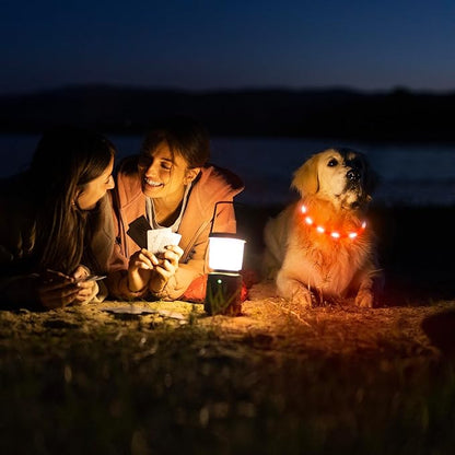 HIGO LED Dog Collar, Rechargeable Light Up Dog Collars, Lightweight Silicone Pet Safety Collar Lights for Night Walking (Orange-Silicone)