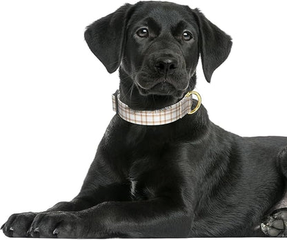 Rnivvi Dog Collar for Large Dogs, Cute Heavy Duty Adjustable Puppy Collar with Quick Release Buckle for Girl & Female, Pet Accessories for Walking Running, L Length 1" Width, White Tartan