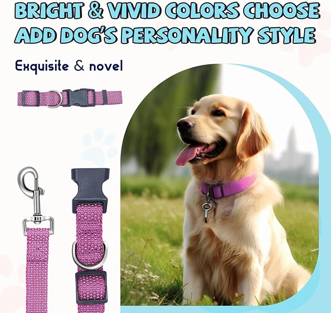Reflective Dog Collar and Leash Set, Nylon Dog Leash with Heavy-Duty Steel D-Ring, Adjustable with Quick Release Buckle for Medium Dogs, Purple M