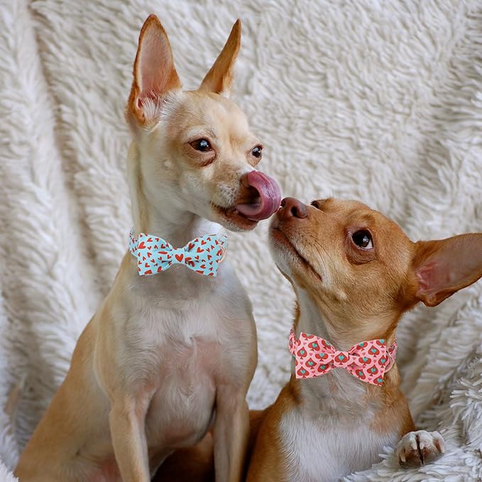 Valentines Dog Collar with Bow Tie - Red Heart Pattern Blue Bowtie Dog Collar Adjustable Heavy Duty Valentines Dog Collars for Small Medium Large Dogs S