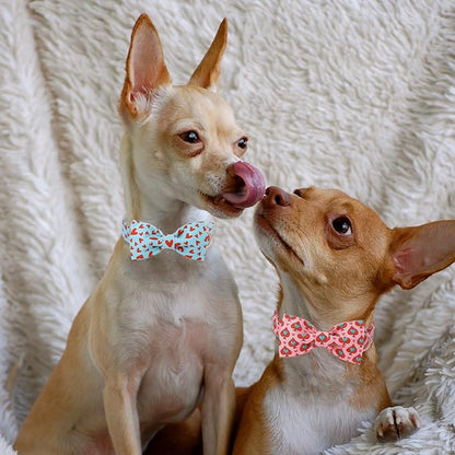 Valentines Dog Collar with Bow Tie - Red Heart Pattern Blue Bowtie Dog Collar Adjustable Heavy Duty Valentines Dog Collars for Small Medium Large Dogs S