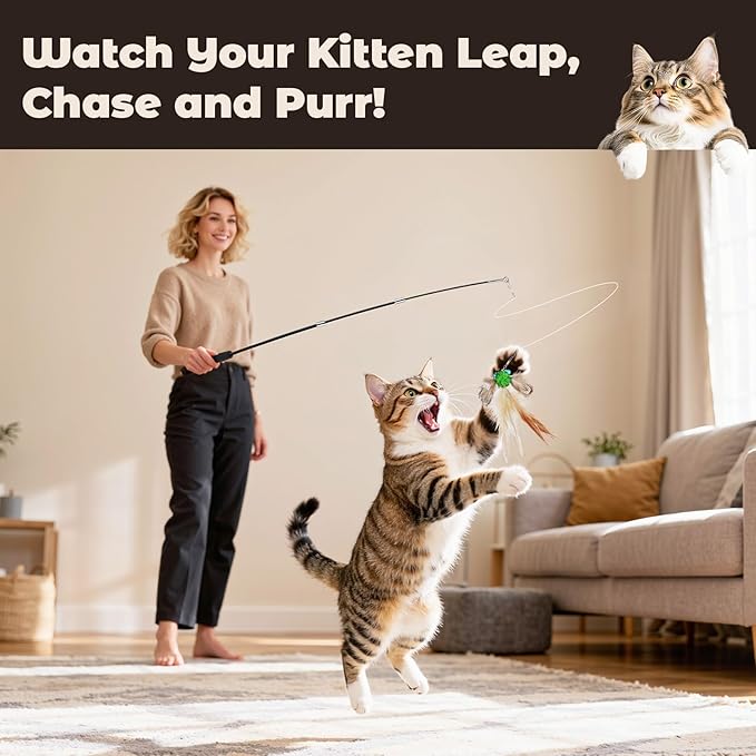 VavoPaw Interactive Cat Toys for Indoor Cats, Retractable Cat Wand Toy with 4 Feather Toy Refills, Kitten Toys Teaser Wand for Bored Indoor Adult Cats and Kittens