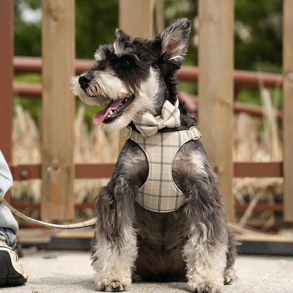 Beirui Cute Extra Small Dog Harness Collar and Leash Set with Bowtie, Soft Adjustable Plaid Puppy Harness for Small Sized Dogs Cats Walks Parties and Photoshoots(Beige,XS:Chest 13-18")