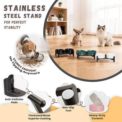 Raised Ceramic Dog Bowl Set - Elevated Double Dishes with Stainless Steel Stand - Food and Water Bowls for Small Dogs and Indoor Cats - Each Holds 1.6 Cups (10.8 fl oz) - Green