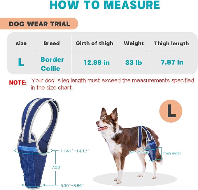 Dog Knee Brace for Torn ACL Hind Leg–Adjustable Support Dog Leg Brace for Back Leg with 2 Stabilizers, Hip Support to Reduces Pain Luxating Patella, Ligament Injuries, CCL (Blue, Left Leg, L)