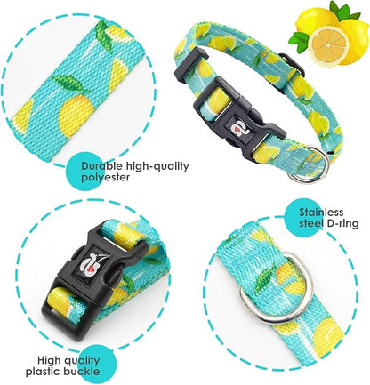 azuza Dog Collar and Leash Set, Lemon Patterns on Blue Nylon Collar and Matching Leash, Great Option for Large Dogs