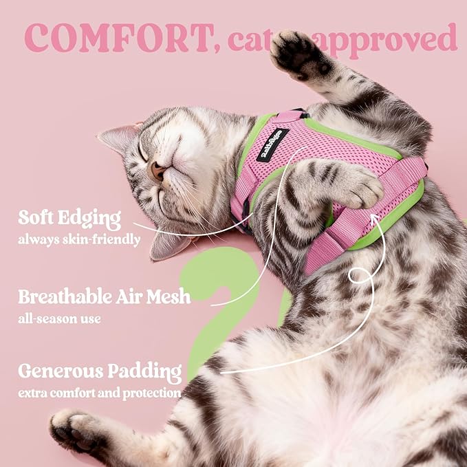 rabbitgoo Cat Harness and Leash for Walking, Escape Proof Soft Adjustable Vest Harnesses for Cats, Easy Control Breathable Reflective Strips Jacket, Pink&Light Green, S
