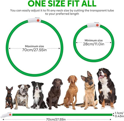 LED Dog Collar - HIGO Light Up Dog Collars Glow in The Dark, USB Rechargeable LED Dog Necklace Light for Your Dogs Walking at Night (Green-Silicone)