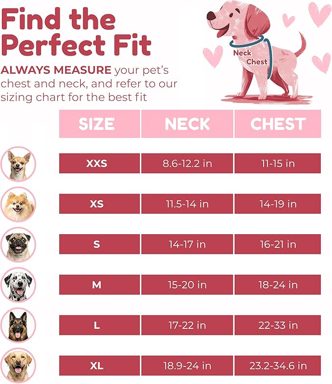 No-Pull, No-Choke Dog Harness & Leash Set – Stylish & Fun – Lightweight, Breathable Neoprene – Unique Heart Pattern – Adjustable for Extra Small to Medium Dogs (Harness Leash Set-Black, X-Small)