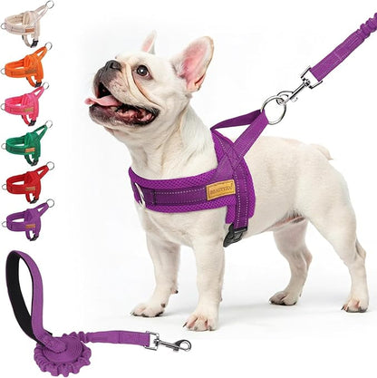 BEAUTYZOO No Pull Dog Harness Medium Sized Dog, Breathable Mesh Padded Dog Harness and Leash Set, Adjustable Reflective Escape Proof Dog Vest Harnessss Quick Fit for Training Walking, Purple M