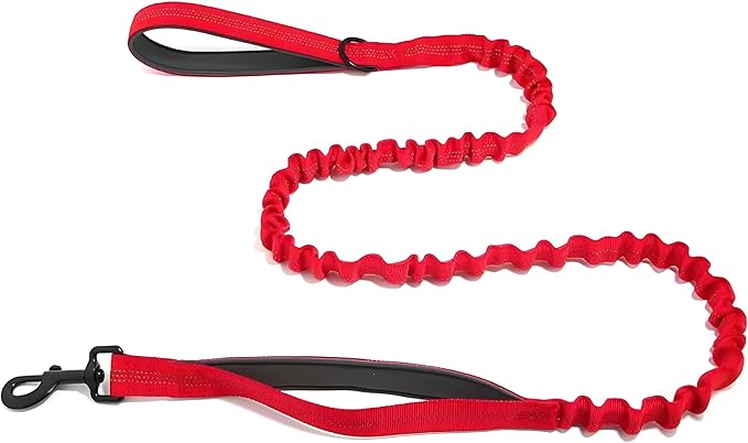 Bungee Dog Leash with Shock Absorption, Dual Handles for Pull Control, Reflective Nylon, Zinc Alloy Hook, D-Ring for Poop Bags, Red, M