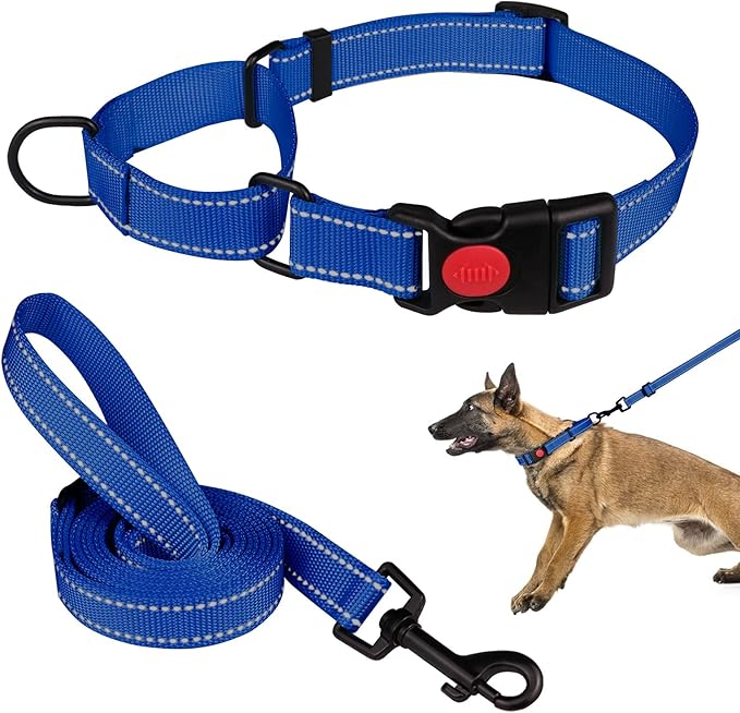 Martingale Dog Collar and Leash Set Martingale Collars for Dogs Reflective Martingale Collar for Small Medium Large Dogs(Blue&L)
