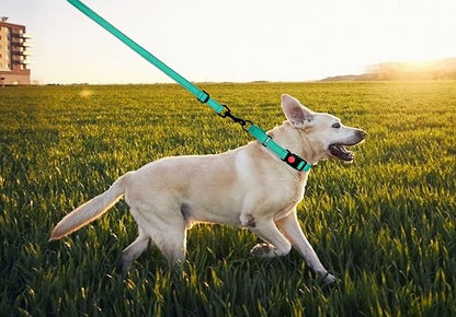 Martingale Dog Collar and Leash Set Martingale Collars for Dogs Reflective Martingale Collar for Small Medium Large Dogs(Mint Green&M)