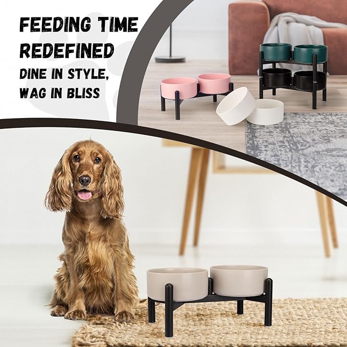 Raised Ceramic Dog Bowl Set - Elevated Double Dishes with Stainless Steel Stand - Food and Water Bowls for Small to Medium Dogs - Each Holds 2 Cups (28.75 fl oz) - Grey