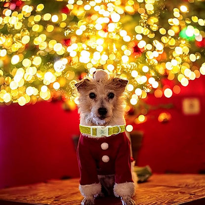 Elegant little tail Glittering Dog Collar, Christmas Cute Girl Boy Pet Collar Gold Bling Pet Collars with Durable Cotton Webbing Adjustable Dog Collars for X-Small Puppy