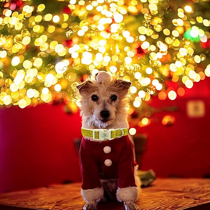 Elegant little tail Glittering Dog Collar, Christmas Cute Girl Boy Pet Collar Gold Bling Pet Collars with Durable Cotton Webbing Adjustable Dog Collars for Medium Dogs