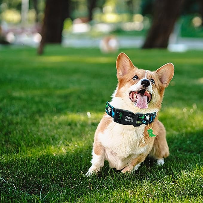 Dog Collar-Black Dinosaur Adjustable Pet Collars Comfortable Spring Summer Puppy Collar Cute Cotton Collars Durable Necklace Gift for Small Dogs
