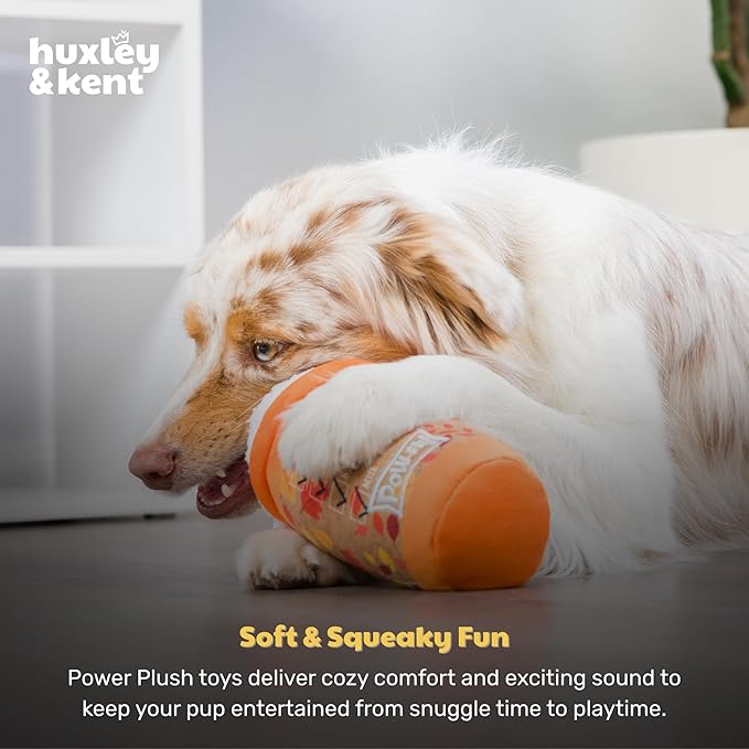 Huxley & Kent Funny Dog Toy w/Squeaker – Fall Power Plush Squeaky Dog Toys for Small, Medium & Large Dogs – Soft Stuffed Animal for Indoor Play & Fetch - Puggin Spice Latte, Large