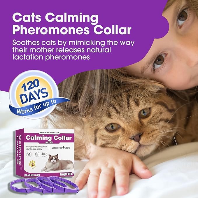Cat Calming Collar, 4-Pack Pheromone Collars for Cats – Adjustable 15″, 60-Day Lasting Stress & Anxiety Relief, Helps Reduce Noise Fear, Scratching & Separation Anxiety（Pruple）