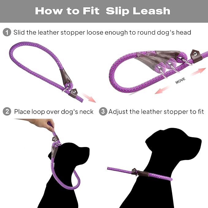 TwoEar 6FT Slip Lead Dog Leash, Heavy Duty Slip Leash for Dogs with Highly Reflective, Strong Rope Slip Leads No Pull Pet Training Leashes for Small Dogs (3/8", Purple)
