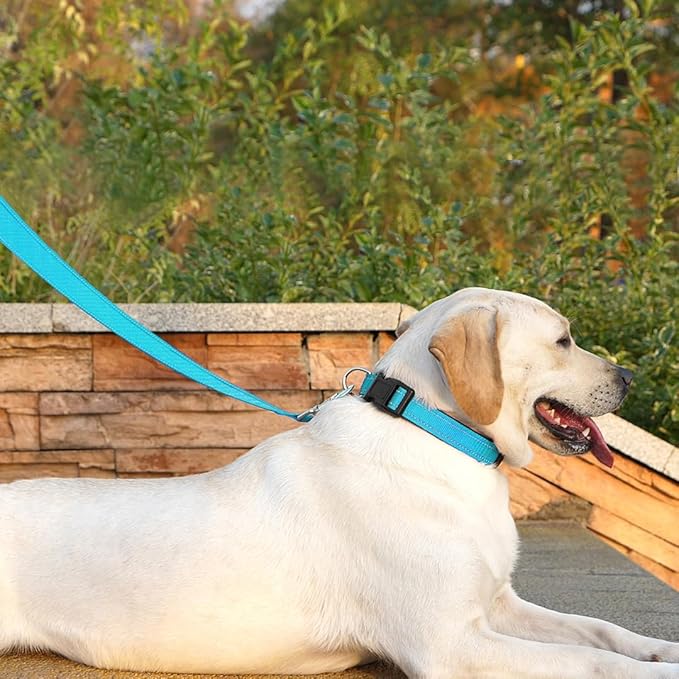 Dog Leash 6 FT Padded Handle Nylon Reflective Dogs Leashes for Small Dogs Sky Blue