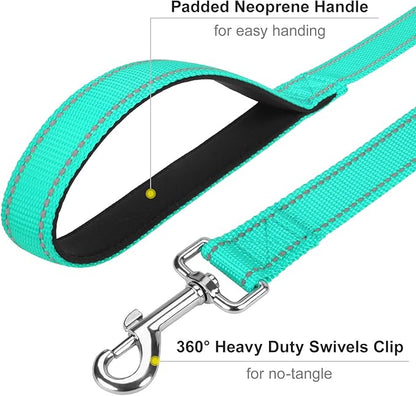 4FT Reflective Nylon Dog Leash with Soft Padded Handle for Walking, Running and Training, Supports Small Medium and Large Dogs (Turquoise, 1 Inch Wide)