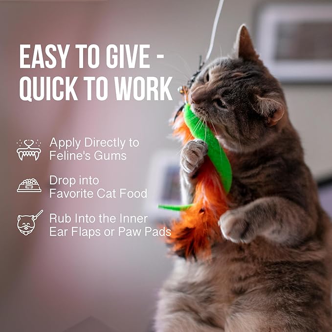 Hemp Dog Health Ease for Cats - Natural Cat Hemp Oil for Mobility & Joint Support - Senior Cat Wellness Drops for Hip & Joint Comfort