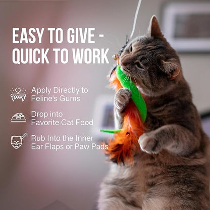 Hemp Dog Health Ease for Cats - Natural Cat Hemp Oil for Mobility & Joint Support - Senior Cat Wellness Drops for Hip & Joint Comfort