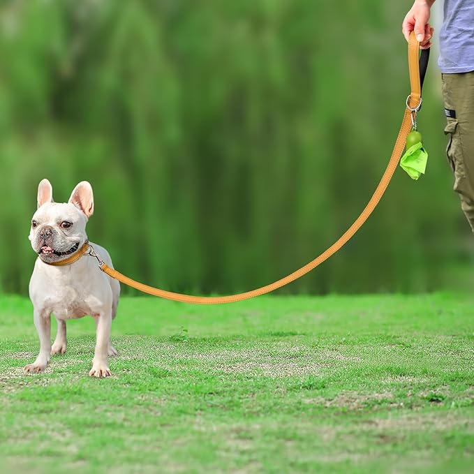 Joytale Double-Sided Reflective Dog Leash, 4 FT, Padded Handle Nylon Heavy Duty Leashes for Small & Medium Dogs Walking, Khaki