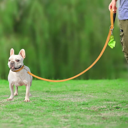 Joytale Double-Sided Reflective Dog Leash, 4 FT, Padded Handle Nylon Heavy Duty Leashes for Small & Medium Dogs Walking, Khaki